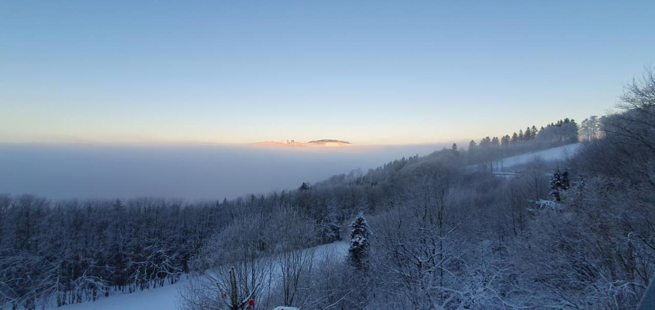 Ferienwohnungen Eismecke Bestwig Esterno foto
